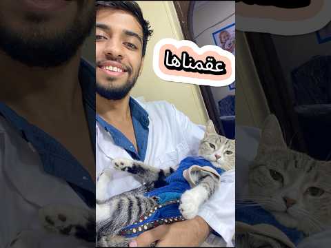 عملنا عمليه تعقيم للقطقوطه 🥰🐱🥼#قطط #cat #kitten #viralvideo #اكسبلور #animallovers