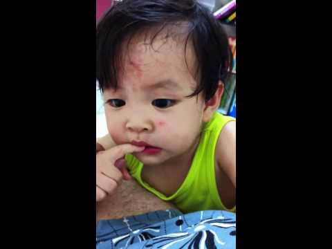 烏魚子跟我搶手機+會講麵包了