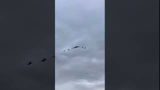 Trump welcomes Putin with a B-2 bomber flyover and a red carpet.