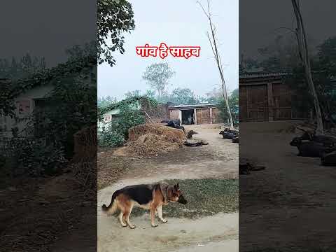 मैं चेहरा बन जाऊं तुम्हारा 🌿🌷#gaonkizindagi #hindisong