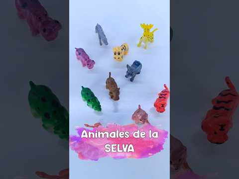 🦁 Sonidos de Animales de la Selva 🦓🐯 #león #tigre #mono