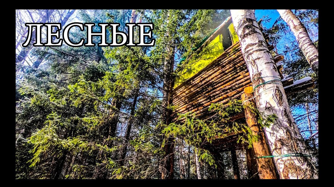 Дом на дереве улучшения и обустройство bushcraft house on the tree - upgrade - diy