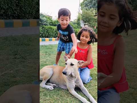 🐕 lover #PuppyPlay#CuteMoment #FunnyReaction #Adorable #ScaredButCute #Playtime  #vibeswithkanishka