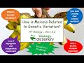 Genetics and Meiosis Concepts