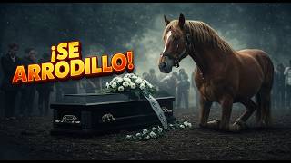 Este Caballo Vio a Su Dueño Muerto    Y Lo Que Hizo Después Te Romperá el Corazón