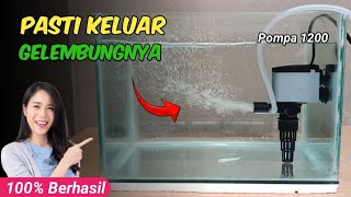 Cara membuat gelembung aquarium tanpa aerator
