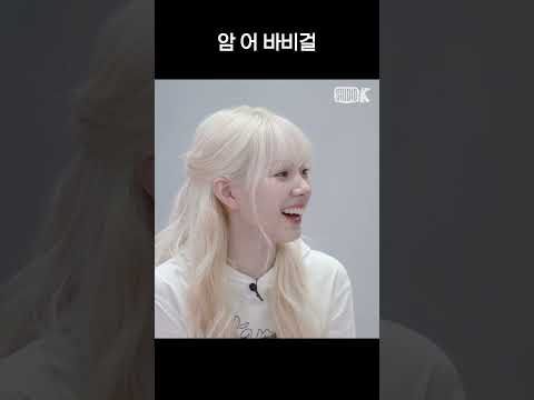 [베이비돈크라이] 뜻 풀이 장인 베니