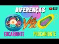 Eukaryotic and Prokaryotic Cells