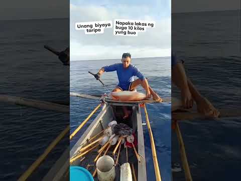 NAPAKA LAKAS NG BUGA??10 kilos yung buo❤❤ #subscribers #viral #fishtv #fish #catchingfish