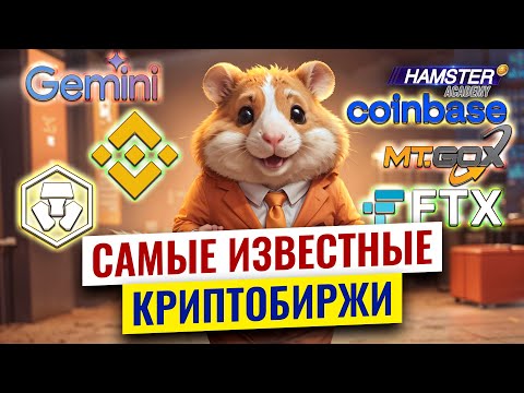 Топ-6 известных криптобирж, изменивших мир ⚡️ Hamster Academy