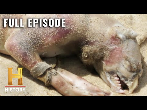 MonsterQuest: Hunting the Jersey Devil (S3, E4) | Full Episode