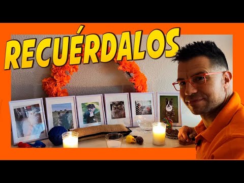 DÍA DE MUERTOS para MASCOTAS de nuestra vida 💫 | DOS adiestramiento 🐾