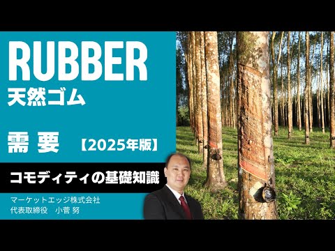 【２０２５年版】天然ゴムの 基礎知識　その３ :需要　with 小菅 努 先生