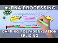 mRNA Processing and Function Concepts