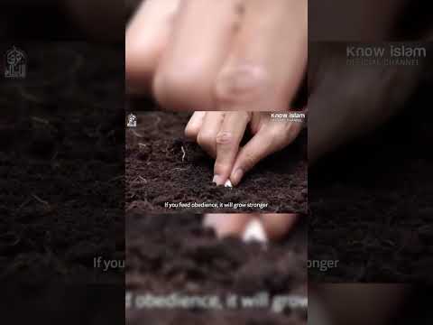 ( سينتصر الذي تطعمه ) الدكتور محمد سعود الرشيدي