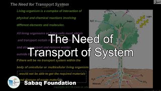 The Need of Transport of System