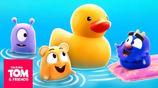 Swimming with the Duck 🦆💦 Talking Tom & Friends | Animated Cartoons