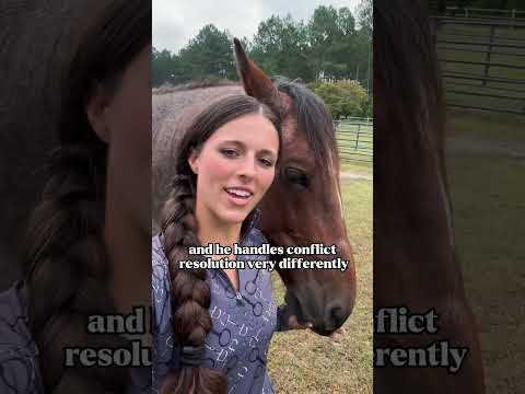I love both but they are very different ๐ #horse #horsegirl #equestrian #farm #farmlife #horses