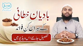 Badian Khatai (Star Anise) ke Faide | Powerful Unani Jadibooti | Ajmal Dawakhana
