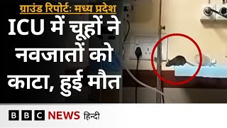 Madhya Pradesh: ICU में भर्ती दो नवजातों की मौत क्या चूहों के काटने के कारण हुई?(BBC Hindi)