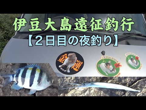 サンマと熱帯魚とイサキ【伊豆大島遠征釣行２日目の夜釣り】