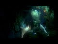 Understanding the Shark's Promise