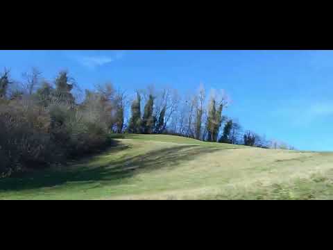 Pazza-Loredana Bertè-cover Dana@preghierarelaxdellanima 🌺(karaoke -3 semitoni)