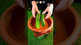 Ek shot🤌🏻aur muh m proper KHATTA CHATPATA DHAMAKA!🥒🌶️🔥