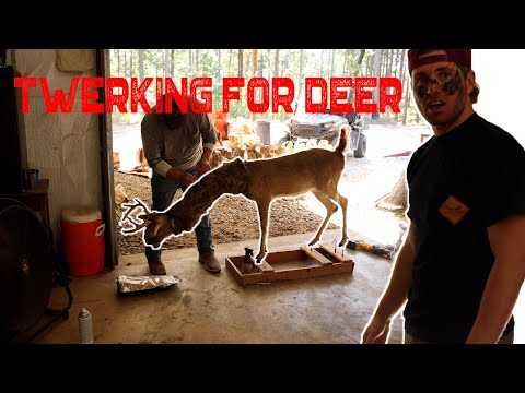 Twerking for deer!