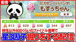 [LIVE] 【ウマ娘】青☆3因子掘りを根性ステ以外600以上目指してファイナル優勝する配信