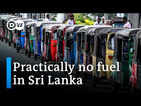 Fuel shortage: Every day has become a battle for survival in Sri Lanka | DW News