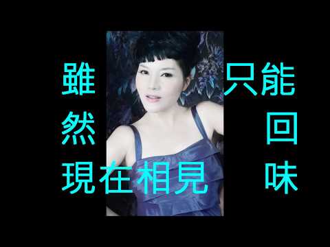 NO:68 往事難追憶-  龍飄飄(國語) (娛己娛人卡拉OK) – 特大字幕