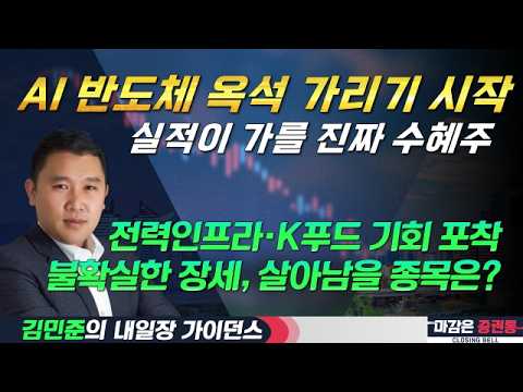 반도체 옥석 가리기 본격화! 급변하는 증시, 실적주가 답이다! #반도체 #AI반도체 #삼전닉스 #TSMC #전력인프라 #데이터센터 #K푸드 #김민준