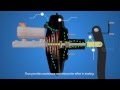 Automotive Brake System Components