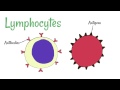 Understanding Pathogens and Blood Cells