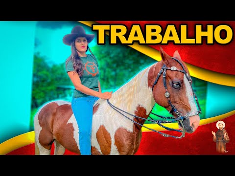 Esse cavalo da trabalho!!!