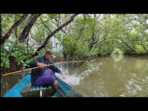 Setelah air mulai jernih,barulah ramai sambaran ikan