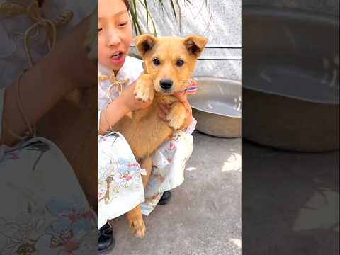 আমার মেনুর অনেক শক্তি 😲#shorts #funny #viralvideo