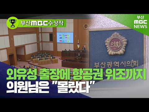 지방의회 외유성 출장 의혹 | <strong>2025년</strong>