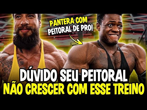 TREINO GORILA E PANTERA   COSTAS RUMO AO PRO