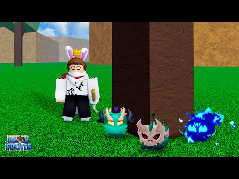 Passei Mais 24 Horas RASTREANDO As Novas FRUTAS Do BLOX FRUITS