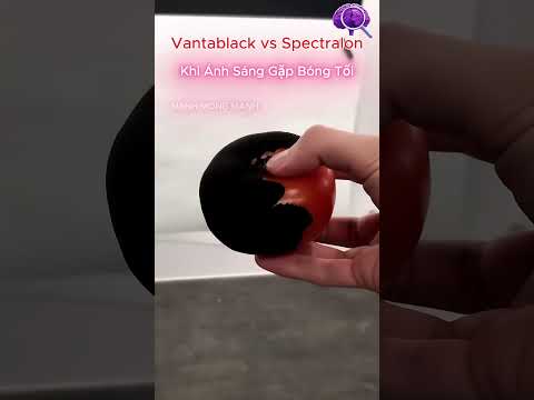 Vantablack vs Spectralon – Cuộc Đụng Độ Của Hai Cực Đối Lập