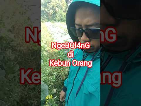 #bolang #bocahpetualang #mytripmyadventure #alam #alamindonesia