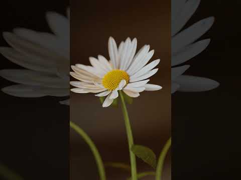 How’d I get so blessed 😪🤧 #bakedbeans #jokes #frijoles #bacon