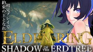 【ELDEN RING】はじめてのエルデンリング！DLC編！！~ラスダン前の最後の寄り道！？『影の地』の気になるところ余すことなく踏破するぞ
