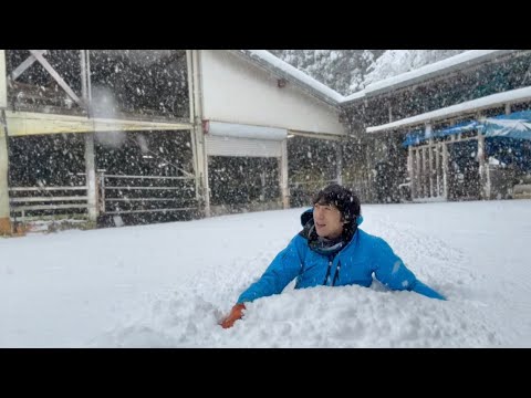 牧場に大雪が降りました