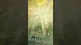 ELDEN RING - Dawn upon the Lands Between