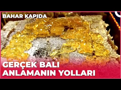 Ağrı Balının Özelliği Nedir? Bahar Kapıda 13 Şubat