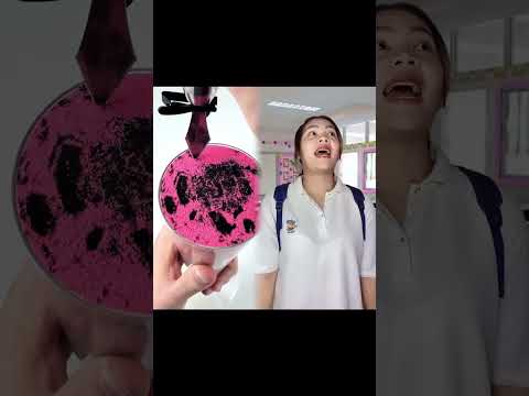 เมื่อไม่อยากเป็นเพื่อนกับเพื่อนใหม่