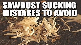 The WORST things you can do in a dusty woodshop